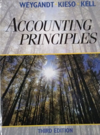 Image of Accounting Pinciples